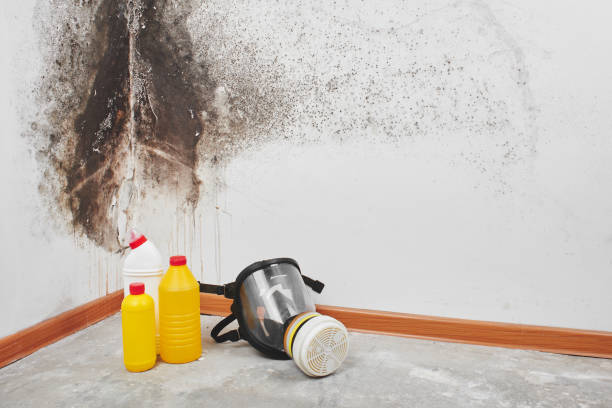 Best Mold Testing  in Woodland Park, NE
