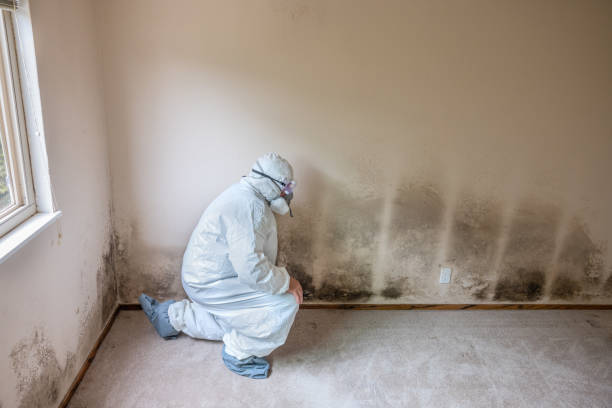 Best Crawl Space Mold Removal  in Woodland Park, NE
